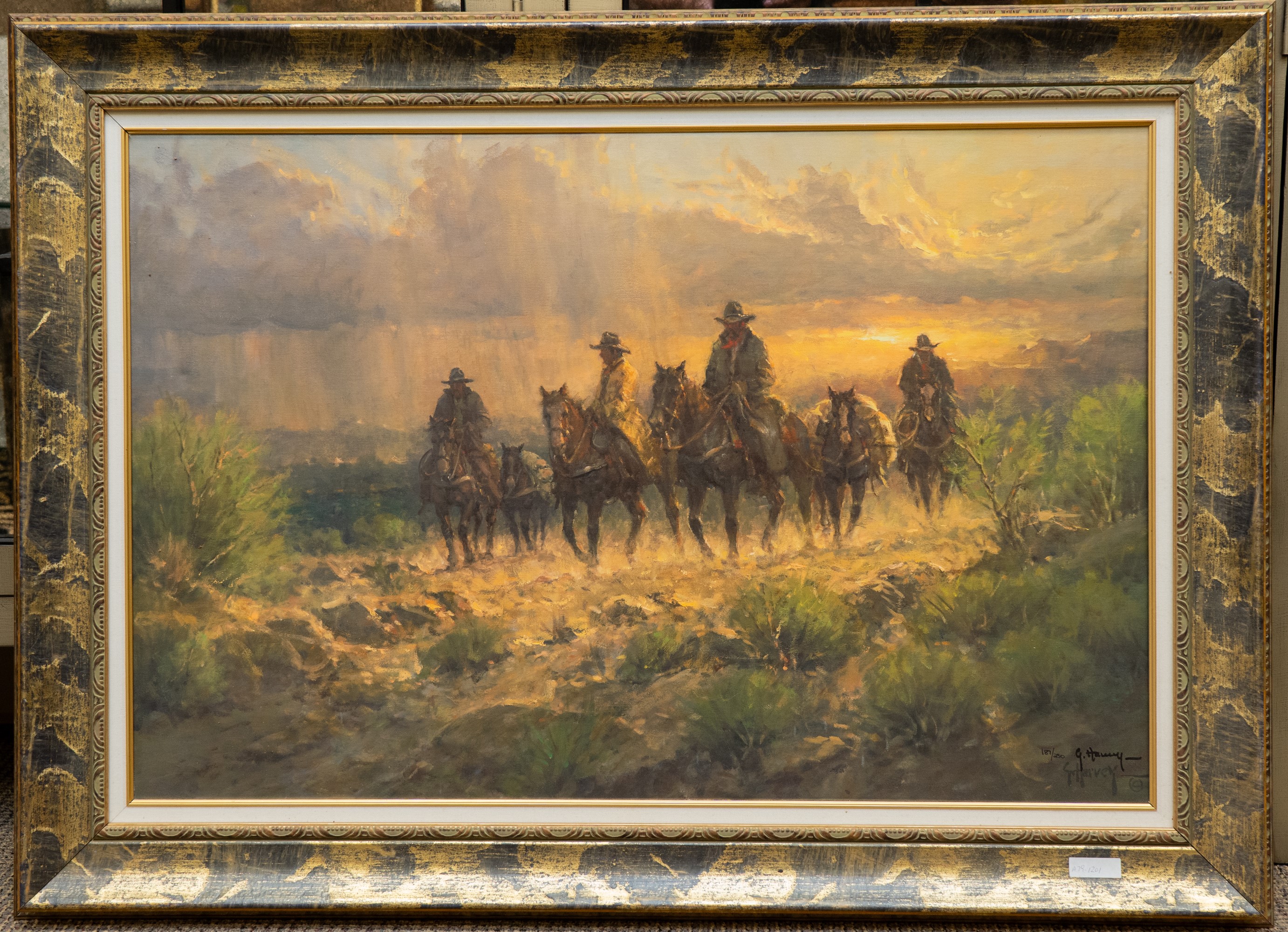 Trailride